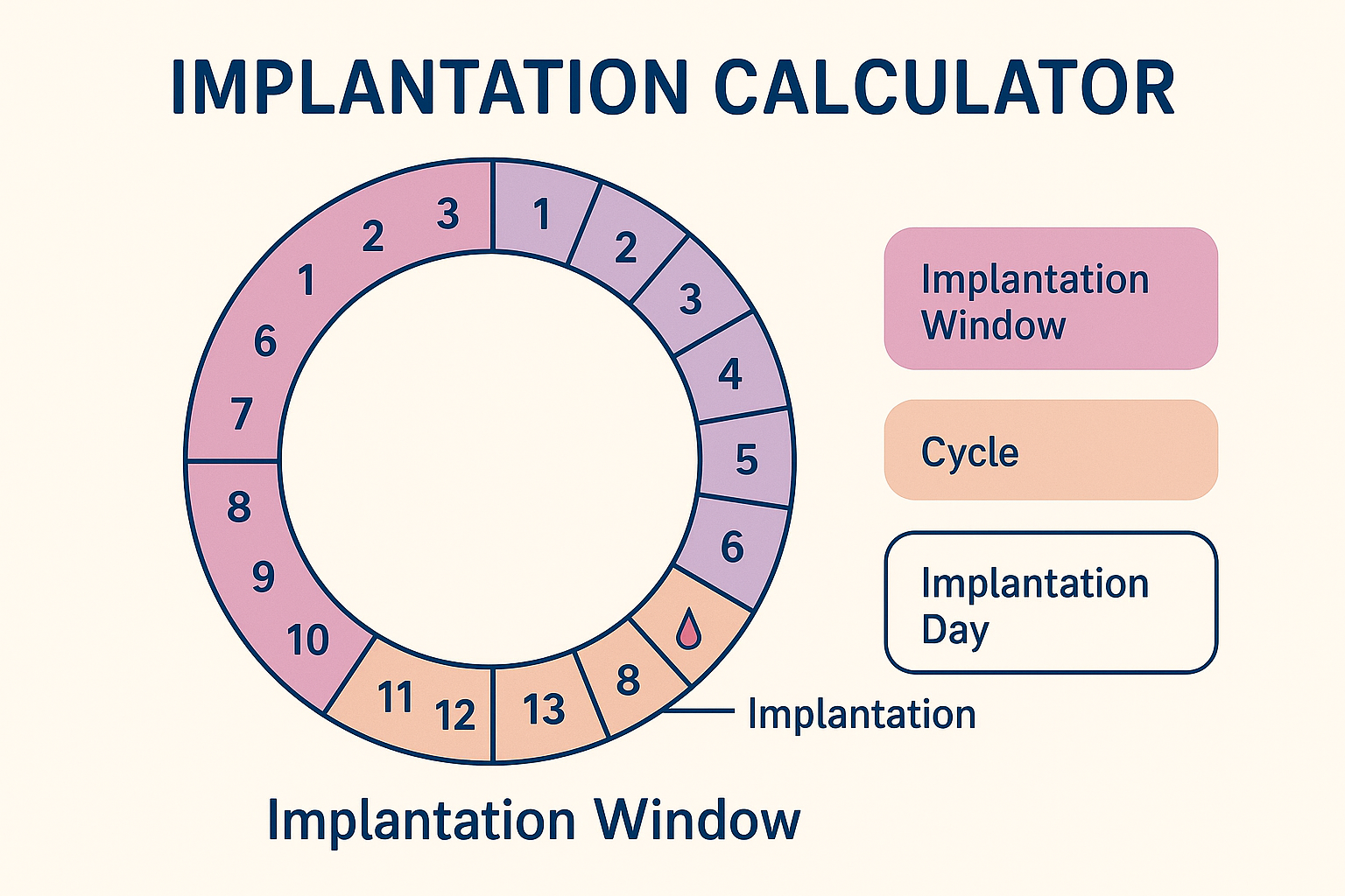 Implantation Calculator chart showing the implantation window and implantation day within a menstrual cycle, highlighted in soft peach and mauve colors.