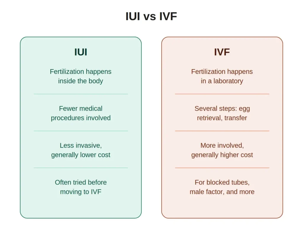 IUI vs IVF fertility treatment comparison chart