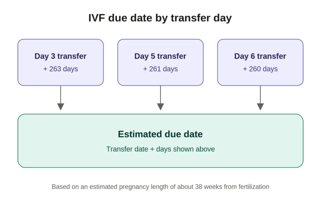 IVF fertility treatment due date calculation by transfer day