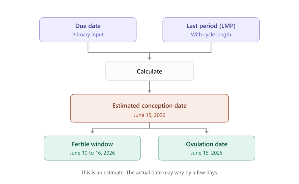 : Conception date calculator showing due date and last menstrual period inputs with estimated conception date, fertile window and ovulation date results