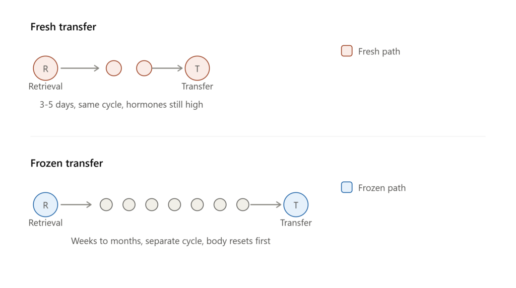 Timeline comparison showing fresh embryo transfer happening 3 to 5 days after egg retrieval in the same cycle, versus frozen embryo transfer happening weeks to months later in a separate cycle.